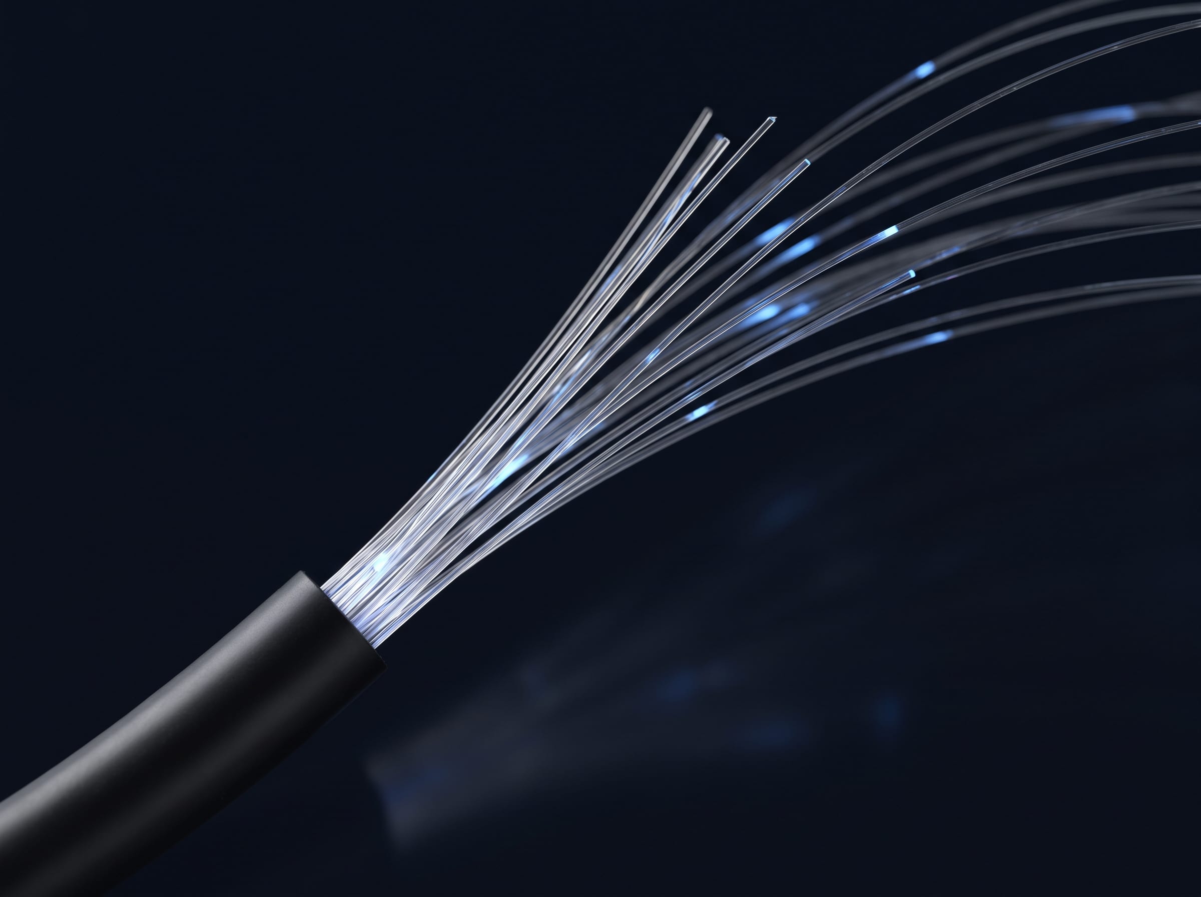 A bundle of optical fibres leaving a cable jacket, with blue light travelling along the cores